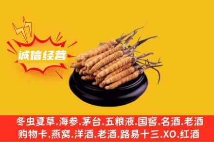 天津市静海回收冬虫夏草